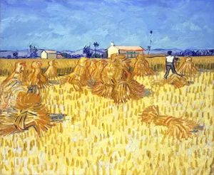 Corn Harvest In Provence