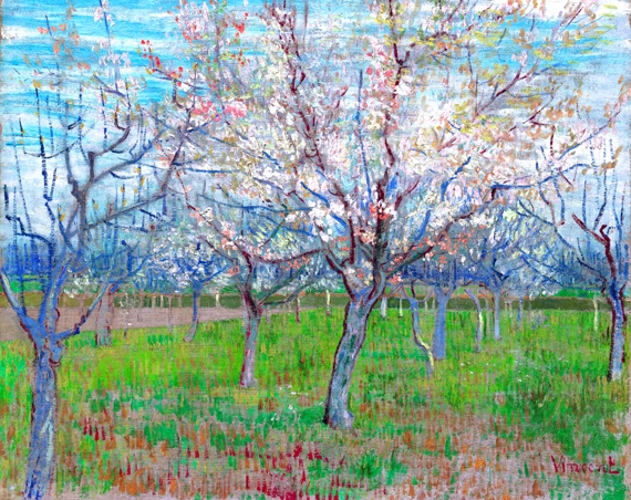 花咲くアンズの木々のある果樹園 フィンセント·ファン·ゴッホ | 油絵 