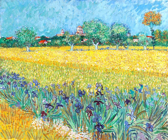 Field With Irises Near Arles