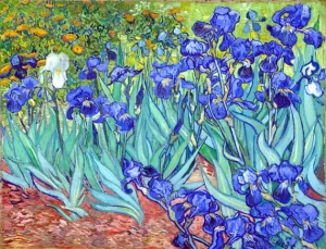 Irises 1889