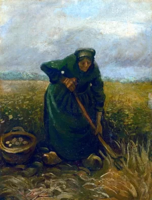 Woman Lifting Potatoes