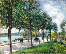 Allée of Chestnut trees