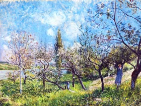 Orchard in Spring