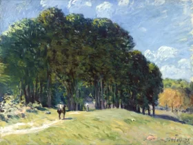 Cavalier en Lisière de Forêt