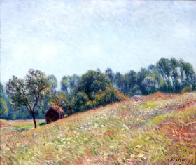 Little, Valley, 1895