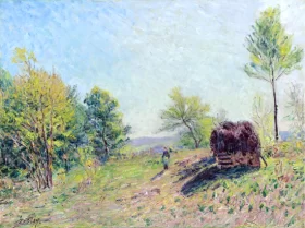 Dans Le Bois au Printemps