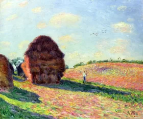 Water Lilies, 1905 Haystacks