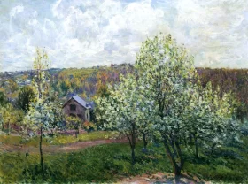 Water Lily Pond, 1918-19 Spring Near Paris