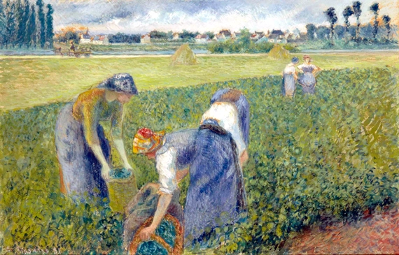 Paysannes Travaillant Dans Les Champs, Pontoise 1881