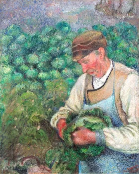 The Gardener - Old Peasant With Cabbage