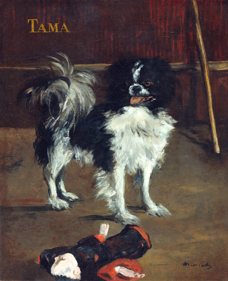 TAMA 1875