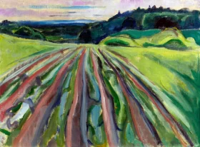 Ploughed Field