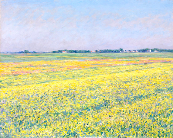 The Plain of Gennevilliers, Yellow Fields 1884