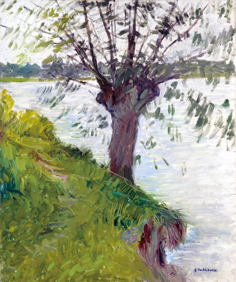 Saule Au Bord De La Rivière 1891