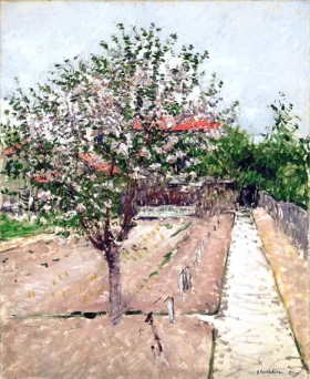 Apple Tree in Bloom 1885