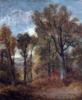 Woodland Scene Overlooking Dedham Vale