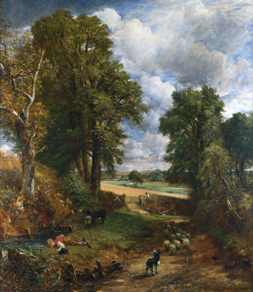 The Cornfield