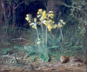 Placeholder-PBE0074 Primroses