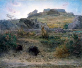 Rabbit Warren, Dawn