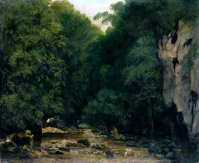 Le Ruisseau De Plaisir-Fontaine, Dans La Vallee Du Puits Noir