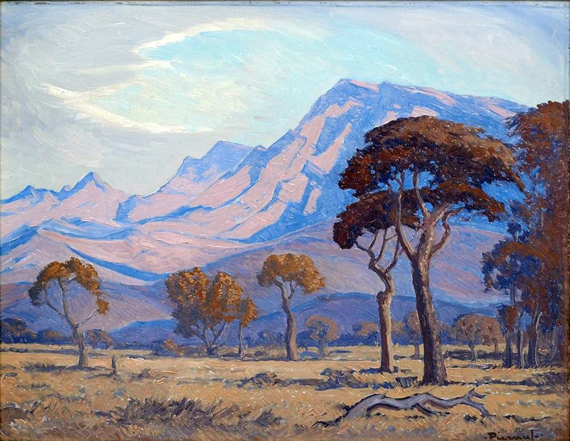 Trees in a Lowveld Mountainous Landscape