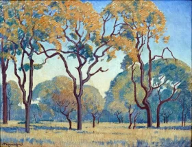 Placeholder-PC0472 Bushveld Trees