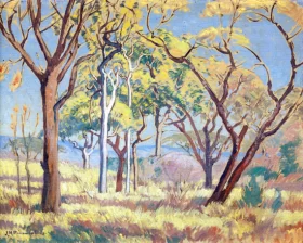Placeholder-PC0474 Bushveld