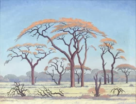 Placeholder-PC0485 Acacia Trees on the Veldt