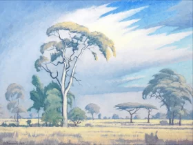 Placeholder-PC0486 Acacias in the Veld