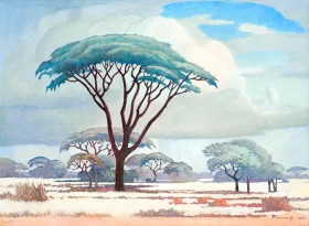 Placeholder-PC0488 Acacias in the Veld