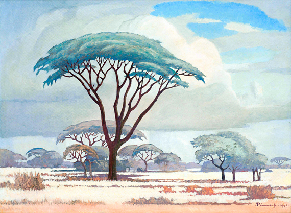 Acacias in the Veld