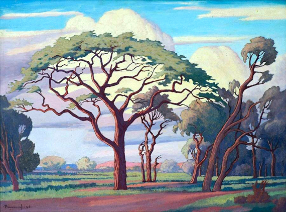 Lowveld in Summer