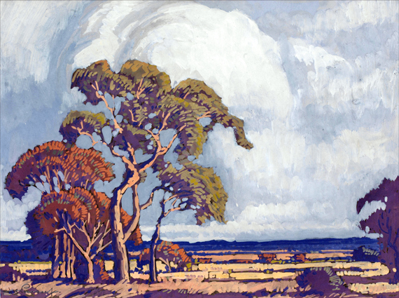 Trees and Storm Clouds on the Veld