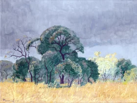 Bushveld Landscape, Transvaal