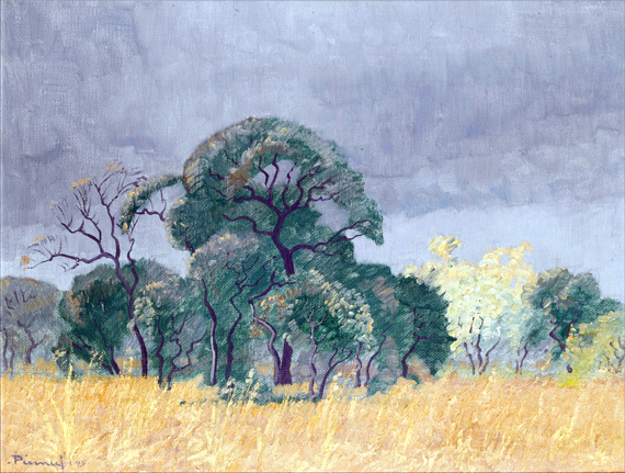 Bushveld Landscape, Transvaal
