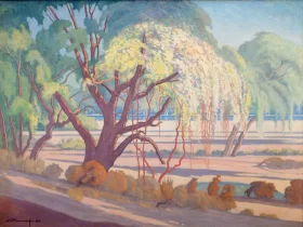 Trees along a River Bank