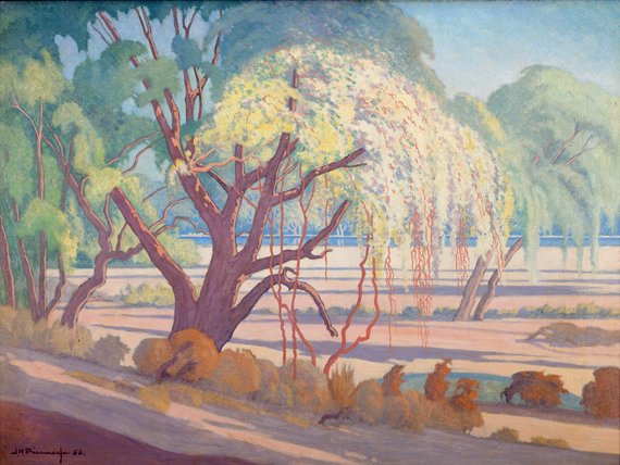 Trees along a River Bank