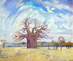 Baobab Tree