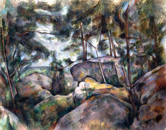 Rocks in the Forest