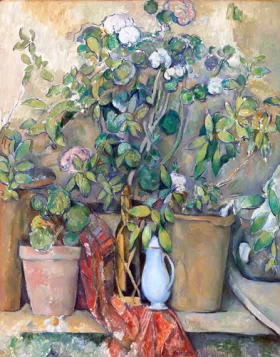 Terracotta Pots and Flowers