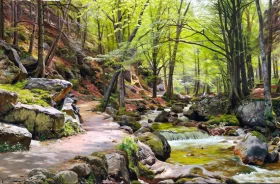A forest near Ilsenburg in the Harz, Germany 1908