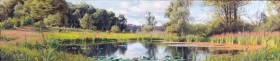 Summer by a pond