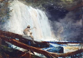 Waterfall in the Adirondacks, 1889
