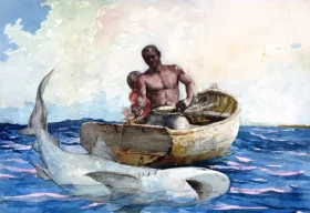 Shark fishing 1885