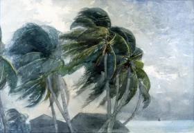 Marine View 1899 A Norther, Key West, 1868