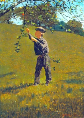 Reval (Tallinn) 1845 Green Apples, 1866