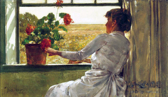 Summer Evening