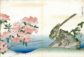 Wagtail and Azalea