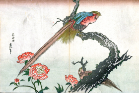 Pheasants and Peonies