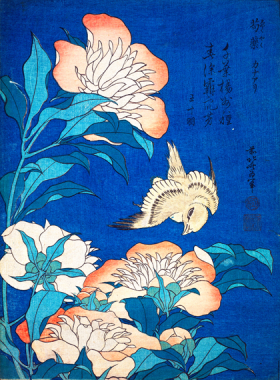 Peonies and Canary